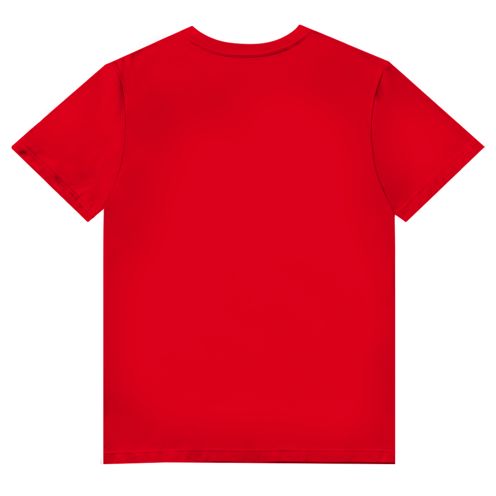 Herren Premium Bio V-Neck T-Shirt Noxraw