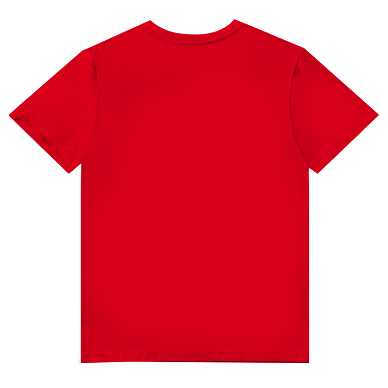Herren Premium Bio V-Neck T-Shirt Noxraw
