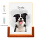 Beleuchteter Bilderrahmen Dog