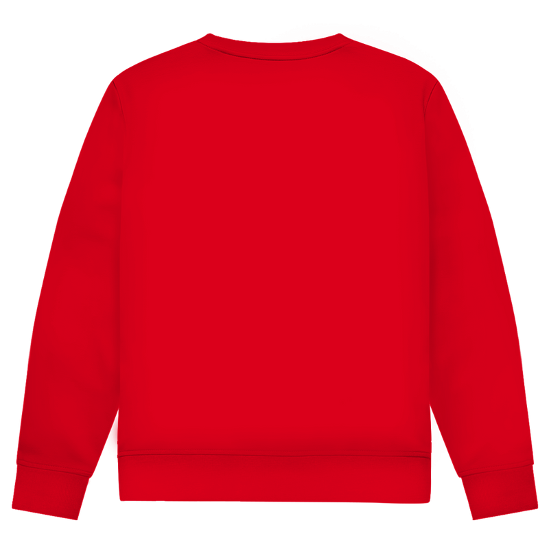 Herren Sweatshirt Noxraw