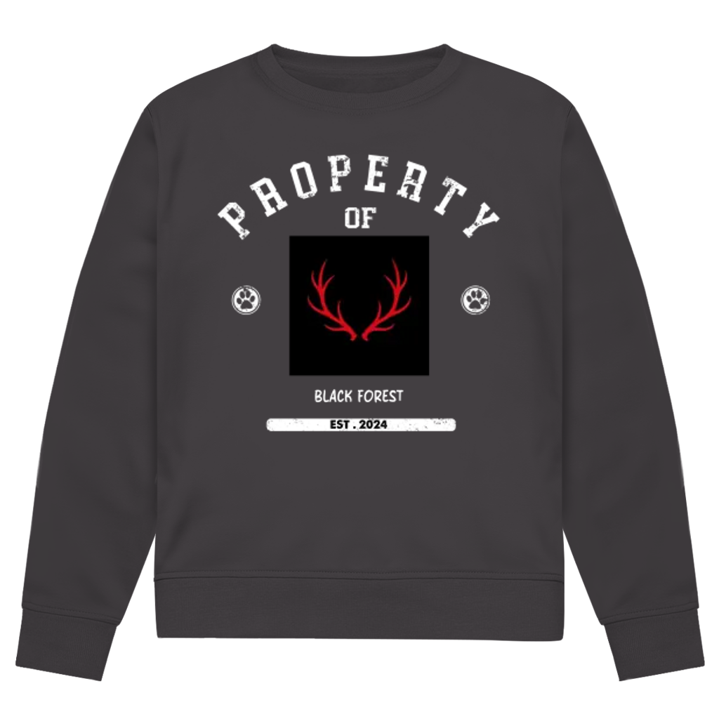 Herren Premium Bio Sweatshirt Noxraw