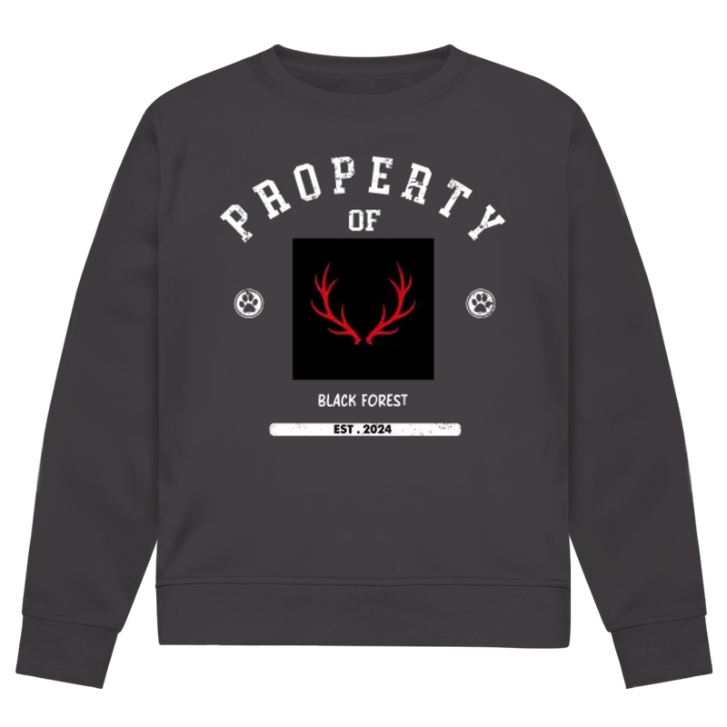 Herren Premium Bio Sweatshirt Noxraw