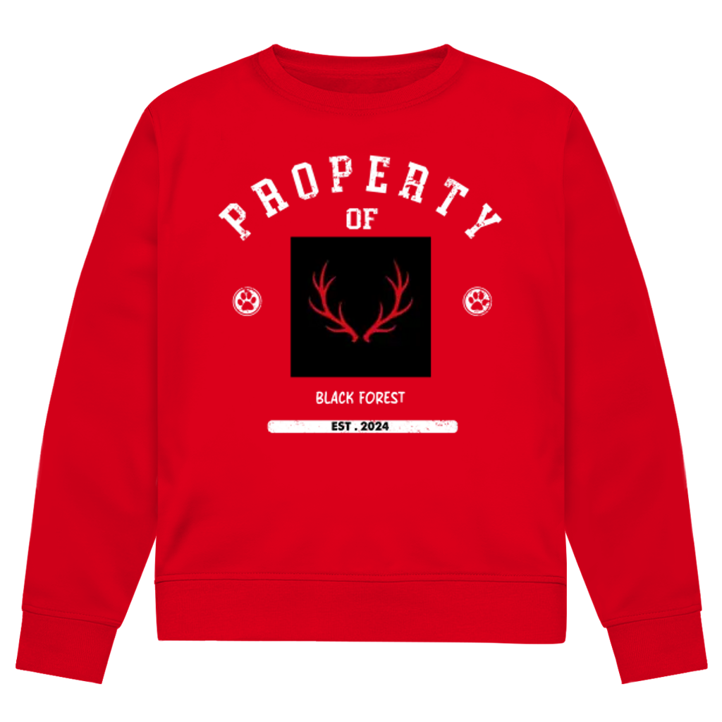 Herren Premium Bio Sweatshirt Noxraw