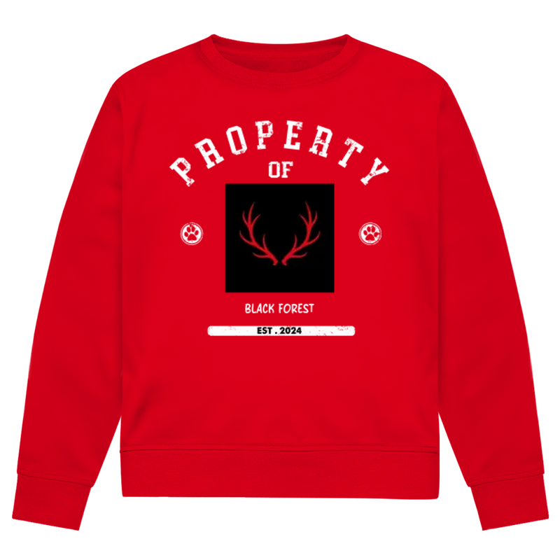 Herren Premium Bio Sweatshirt Noxraw
