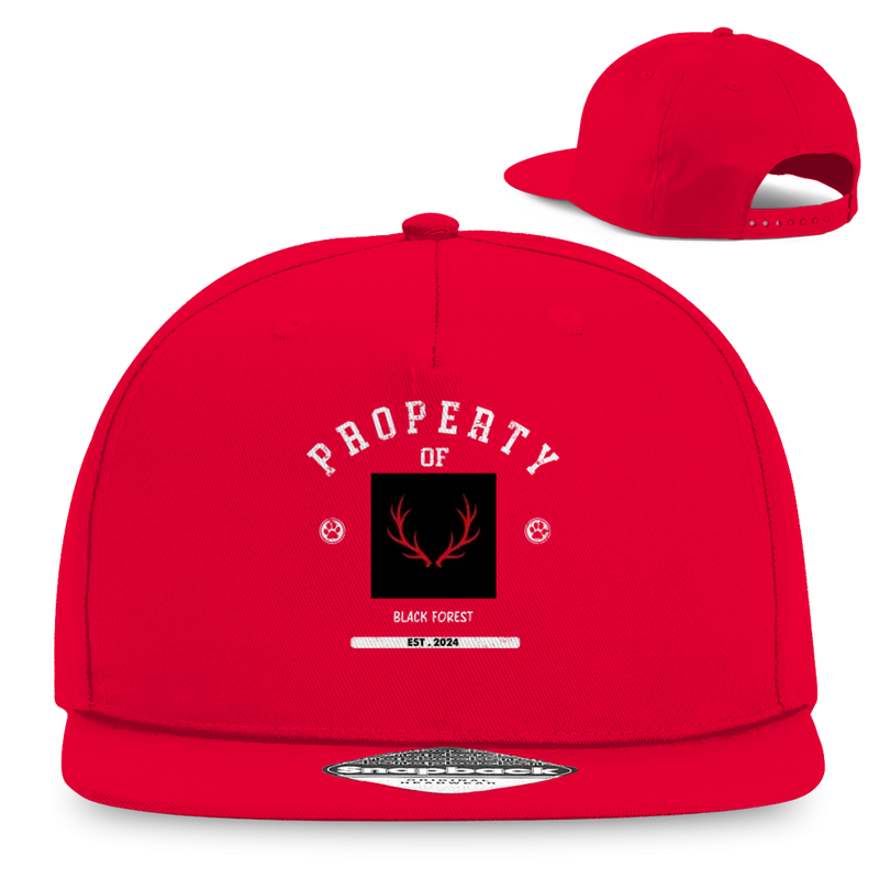 Snapback Rapper Cap Noxraw