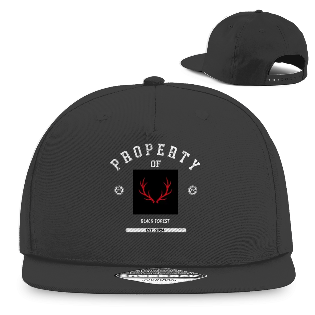 Snapback Rapper Cap Noxraw